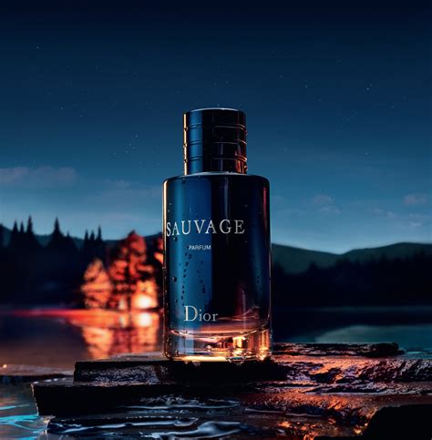 dior sauvage note di testa|sauvage perfume dior.